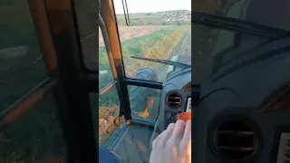 passage du rouleau avec le claas 456 rx