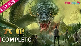 Película SUB español [Serpientes] ¡Catástrofe de serpientes! | HORROR/ACCIÓN/DESASTRE | YOUKU