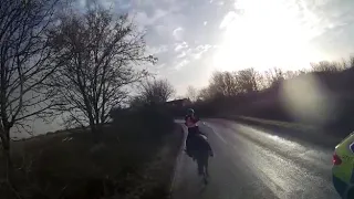 Careless Essex police car & Horses