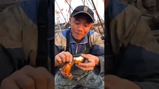 Amazing Eat Seafood Lobster, Crab, Octopus, Giant Snail, Precious Seafood🦐🦀🦑Funny Moments 1