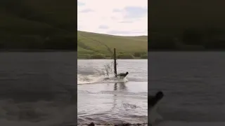 Танк выехал из под воды😱