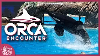 Orca Encounter FULL SHOW at SeaWorld San Diego 2022