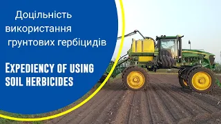 Доцільність використання грунтових гербіцидів на кукурудзі. Епізод № 36