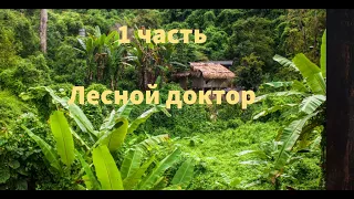 ''Лесной доктор'' - 1 часть - христианская повесть - читает Светлана Гончарова