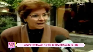 Σοκαριστικό γκάλοπ για την ομοφυλοφιλία από το 1996  | Γεια Σου | 13/11/2022