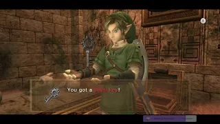 The Legend of Zelda Twilight Princess HD Done Bad 4