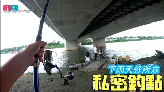 有魚釣/不用錢/能躲雨...分享雨天止癢舒服的好釣點,這裡魚種很多,一年365天..天天都能拉爽爽 2022/12/ 台灣69J釣魚俱樂部(69J Fishing Club)