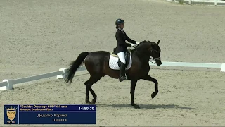 16.06.2018: Equides Dressage Cup: змагання з виїздки, 1-й етап, Юніори. Особистий Приз