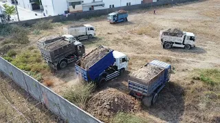 New Project Pouring soil in a large yard with and Many Dump Truck.