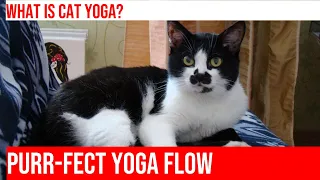 Pawga: Yoga with Your Cat - Relax and Stretch with Your Furry Friend!