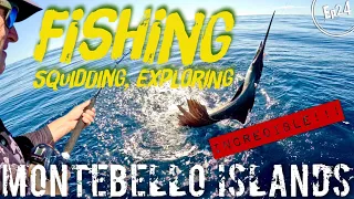Ep24. WT*?!? Catching a Sailfish on a Shimano Electric Reel (Montebello Islands)