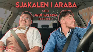 UMUT PÅ DATE MED PIA KJÆRSGAARD? - Sjakal i Araba #1