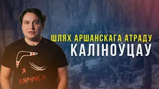 Паўстанне Каліноўскага на Аршаншчыне. Кароткае апісанне падзеяў.