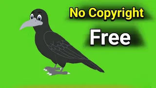 Cartoon Crow green Screen Vedio|flying crow green screen Vedio no copyright