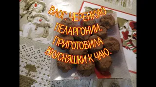 Влог. Черенкую пеларгонию. Приготовила вкусняшки к чаю.