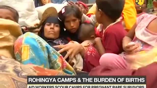 Rohingya crisis: Camp full of pregnant women, who are rape survivers