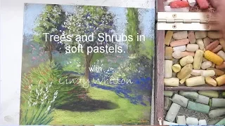 Trees and shrubs - Pastel painting course