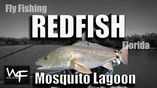 W4F - Fly Fishing Florida "Mosquito Lagoon"