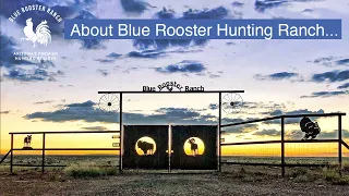 The Blue Rooster Hunting Ranch Story