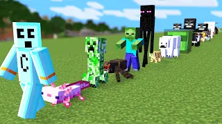 Minecraft but I can Tame All Mobs