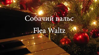 Flea Waltz - Piano Tutorial