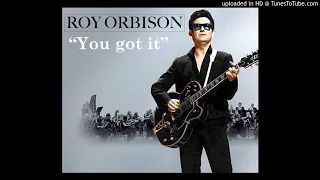 Roy Orbison - You Got It Remix 2023