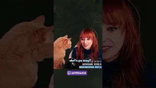 Cat viciously attacks Twitch streamer's face while gaming...