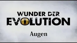 Wunder Evolution Teil 1: Augen (History Channel Dokumentation)