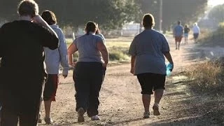 Nearly 30% of World Population Is Overweight