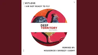 I Am Not Ready to Fly (Housenick Remix)