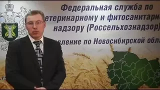 О визите представителей Управления в ОАО "Новосибирская птицефабрика"