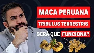 MACA PERUANA E TRIBULUS TERRESTRIS MELHORA A EREÇÃO? | DR. MATHEUS AMARAL - UROLOGISTA