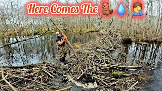 We Have Another Problem!! || Beaver Dam Removal In Beaver Chair Dam Area S1 EP.9!