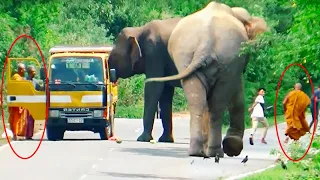 Elephant's Shocking Attack On Monk's Vehicle - Unbelievable Footage