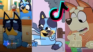 Bluey TikToks Compilation 2023 #32