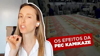 "PEC Kamikaze" é aprovada no Senado - entenda seus efeitos