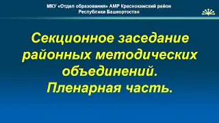 Секционное заседание районных методических объединений.