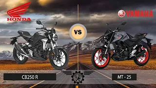 Yamaha MT 25 vs Honda CB 250R Hangisini Almalı ?