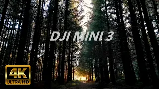 DJI Mini 3 pro - cinematic forest flying