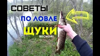 🐟 Некоторые советы по ловле щуки весной!