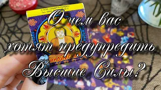 О чем вас хотят предупредить Высшие Силы? Гадание на пасьянсе Карина Захарова