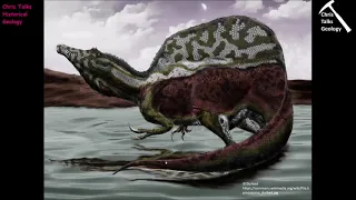 Mesozoic Life History (Part 1) - Part 3