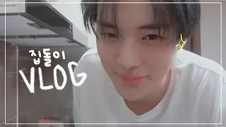 [VLOG] 쉬는 날의 집돌이 일상 🐶 민혁이의 일상 공유 합니다 시카고 피자, 버팔로 윙, 아이스크림, 보쌈