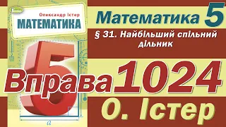 Істер Вправа 1024. Математика 5 клас