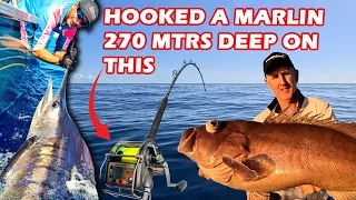 DEEP DROPPING & JEW, COBIA, PEARL PERCH | Scorpionfish vs Pearl Perch taste test