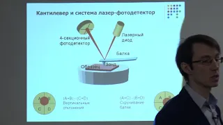 Евтушенко Е. Г. - Физические методы биохимии - Сканирующая зондовая микроскопия