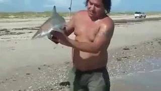 Когда акула-детеныш плохо себя ведет!