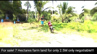Sold Out! 7 Hectares of Farm land suitable for anything you want! for only 2.5M php only