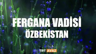 Fergana Vadisi Özbekistan 2. Bölüm