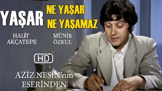 Yaşar Ne Yaşar Ne Yaşamaz Türk Filmi | FULL | HD | Halit Akçatepe